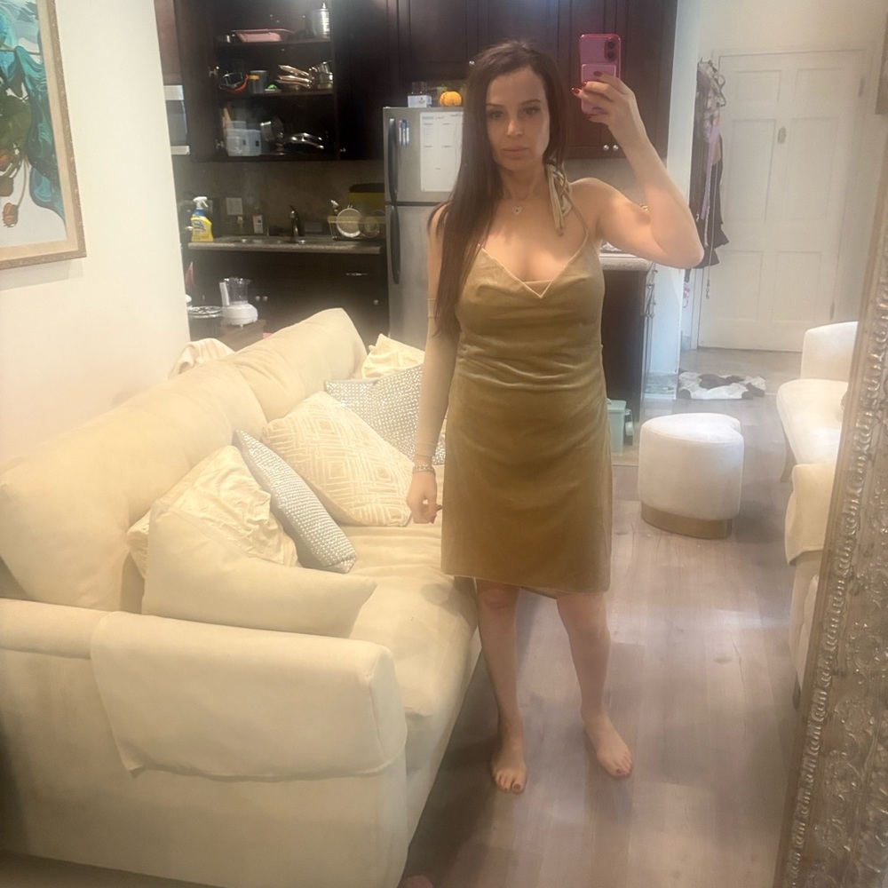 Brand new lioness velvet dress small